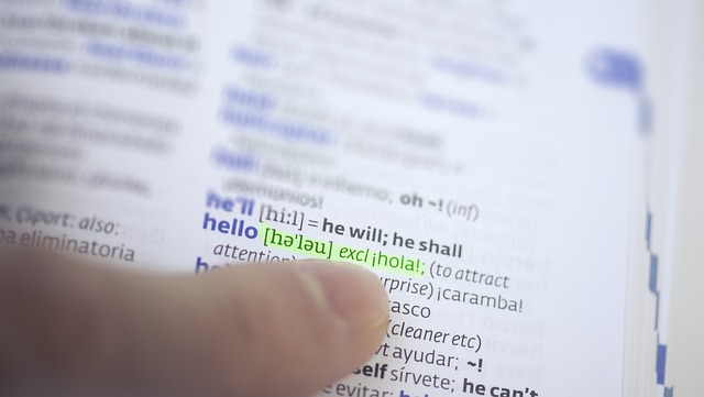 Dove lavorano i traduttori