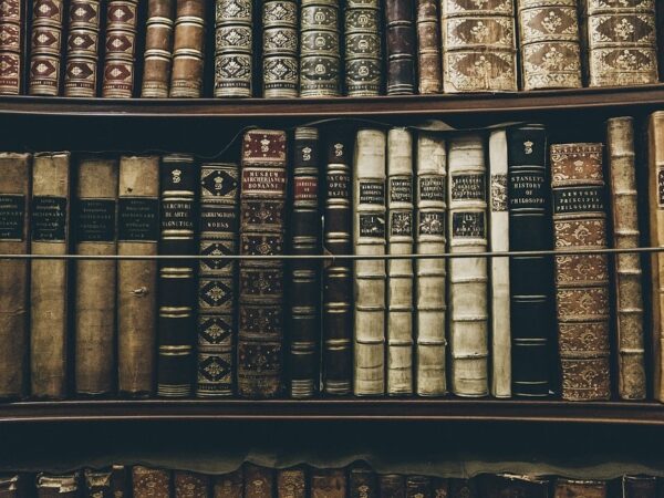 Come si diventa bibbliotecario