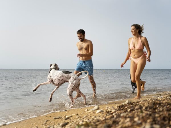 Le 5 Migliori Spiagge dog Friendly d’Italia