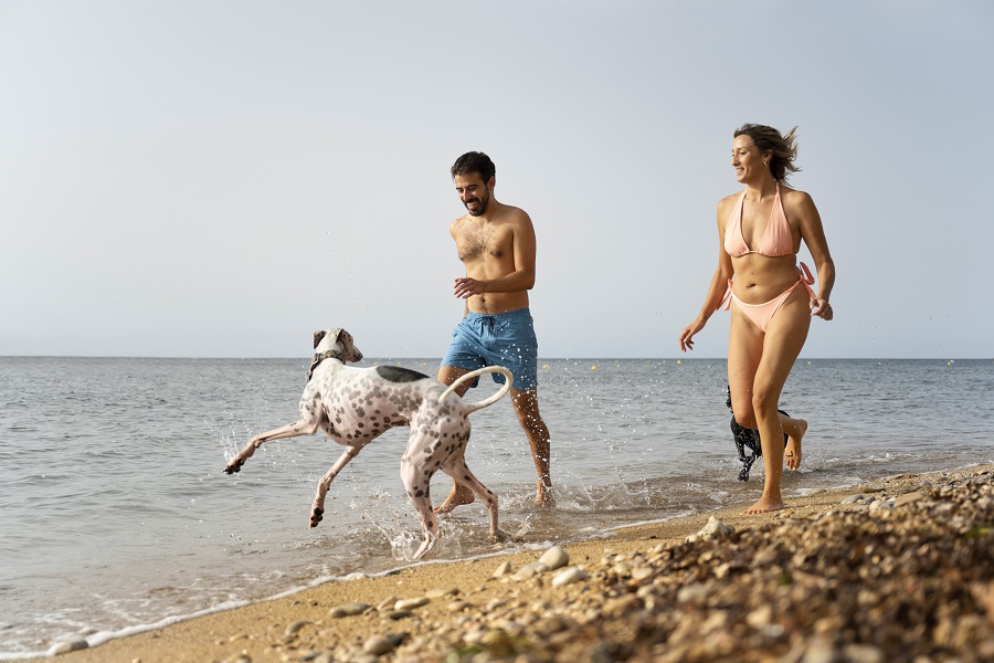 Le 5 Migliori Spiagge dog Friendly d’Italia